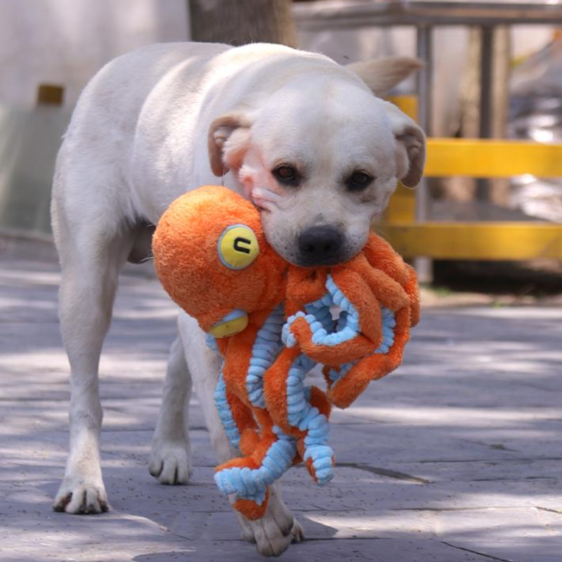 Big Octopus Pet Toy Dog Plush Squeaker Sound Toy