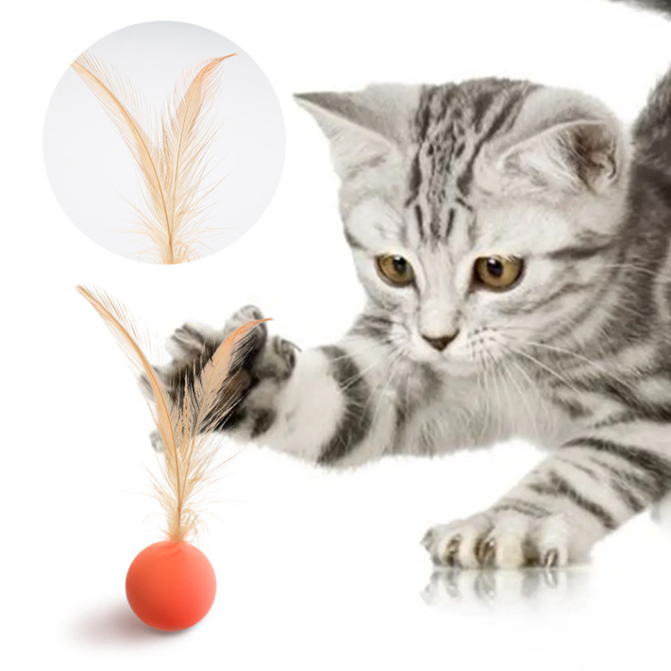 Interactive Elastic Jumping Ball With Feather