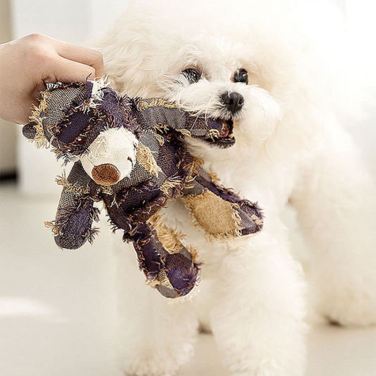 Pet Beggar Bear Sound Dog Toys