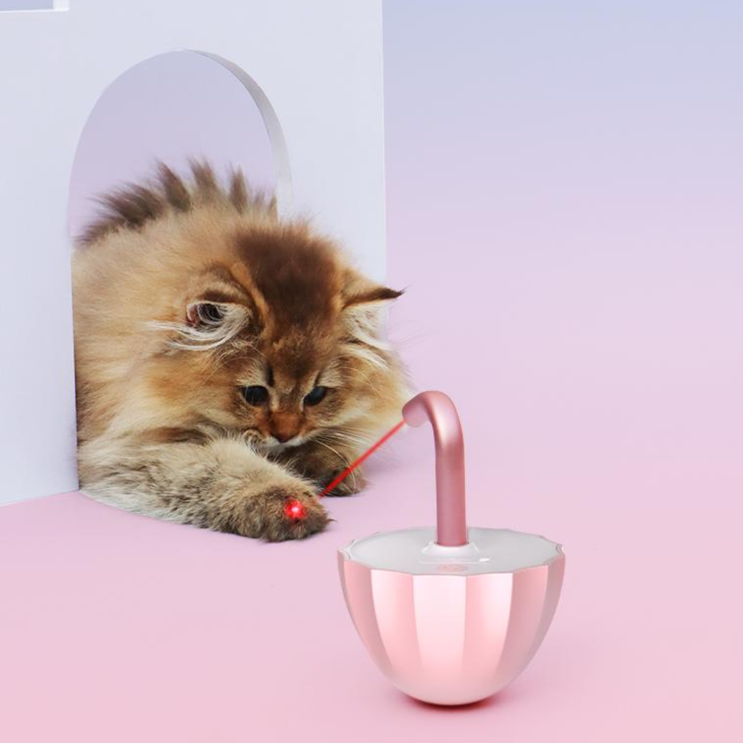 Interaktives Tumbler-Laserlichtspielzeug