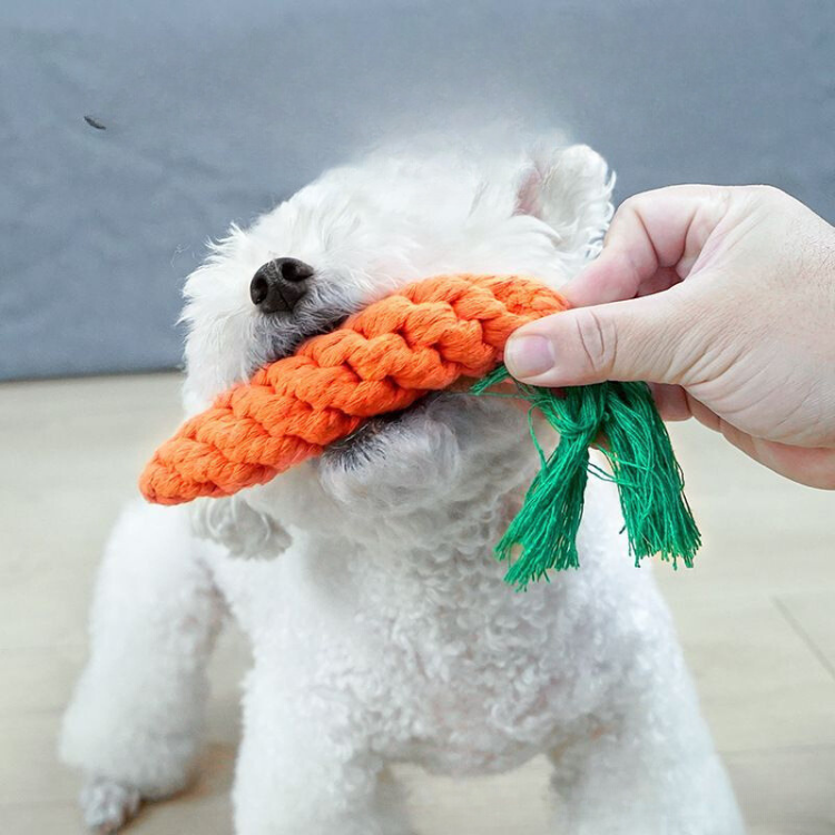 Pet Dog Carrot Knot Woven Toy