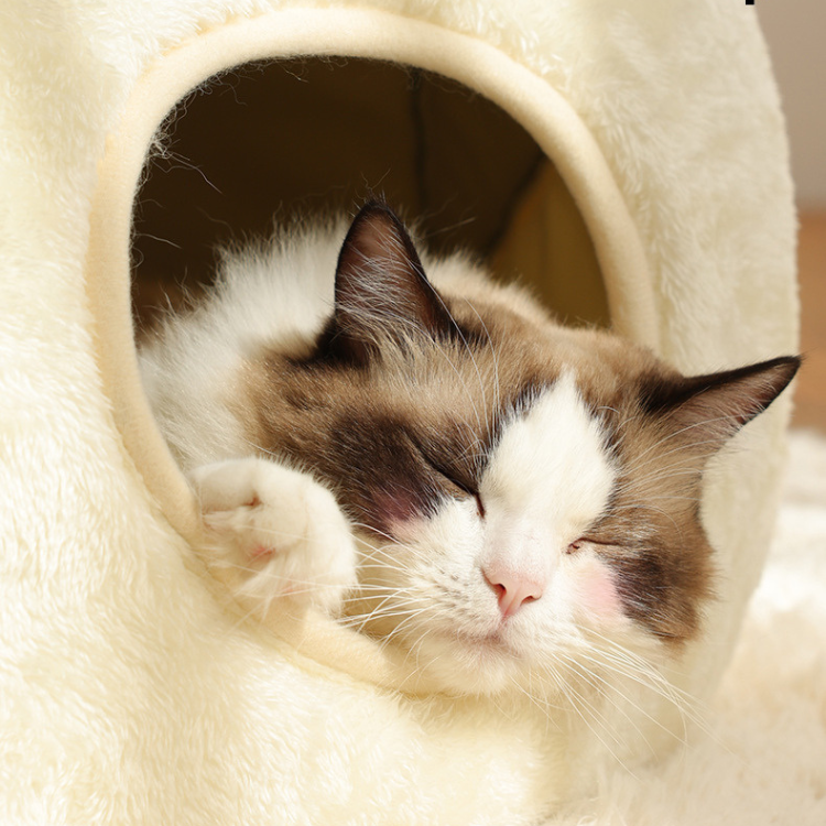 カエル型の囲い付き屋根付き猫ベッドペットハウス