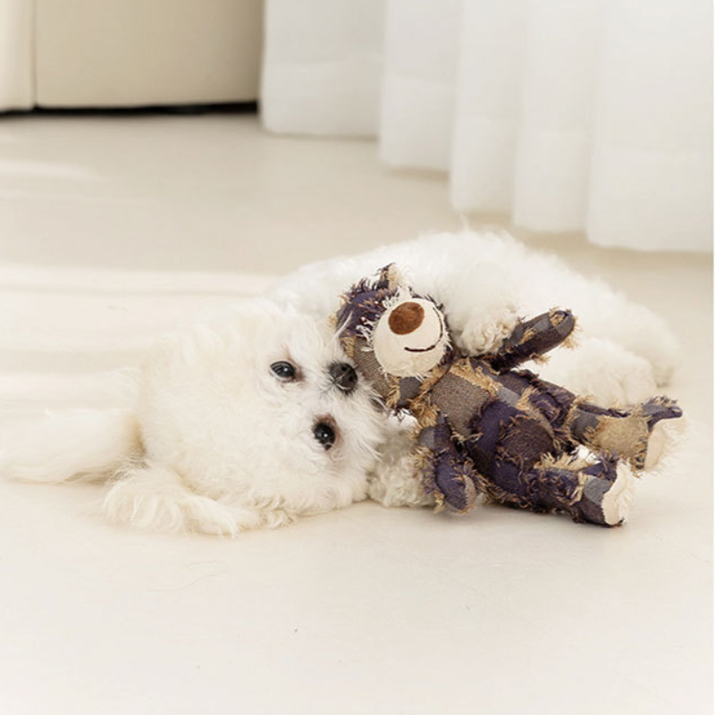Pet Beggar Bear Sound Dog Toys