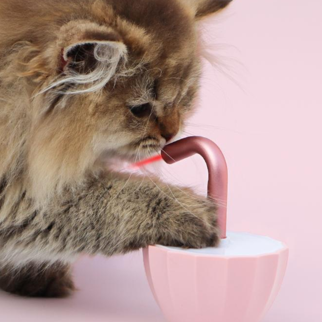 Interaktives Tumbler-Laserlichtspielzeug