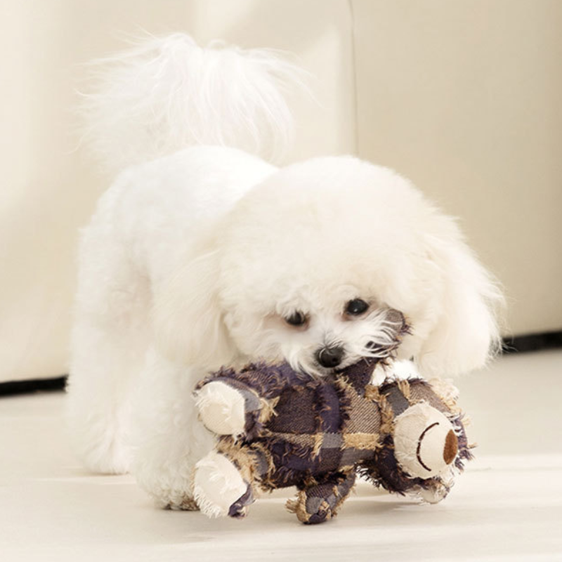 Pet Beggar Bear Sound Dog Toys