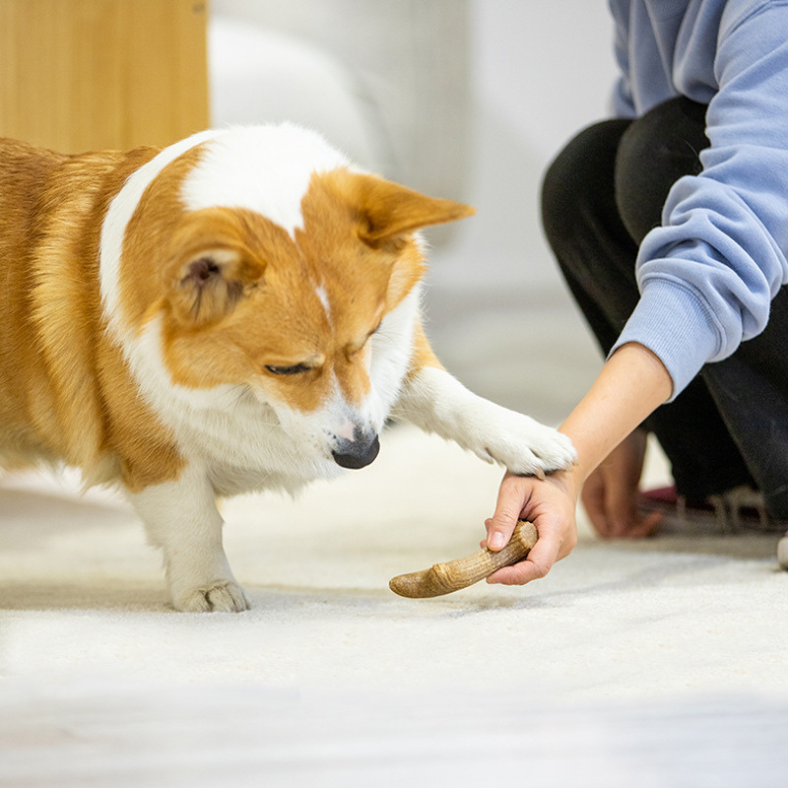 Durable and Safe Dog Chew Toy for Playful Pups