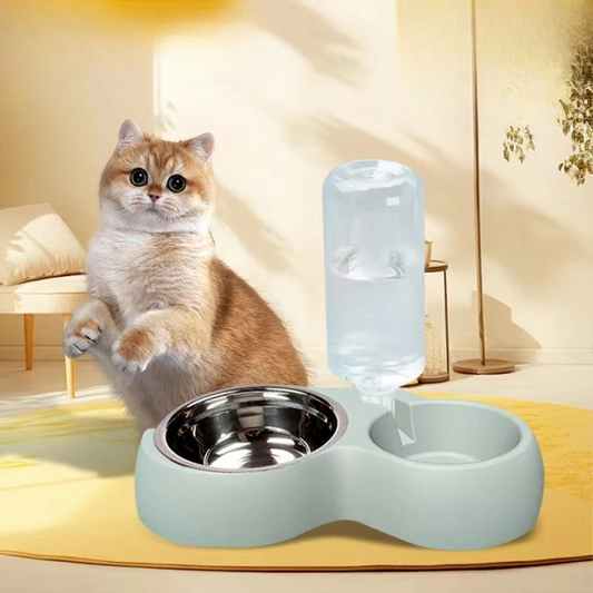 Pet Feeding And Hydration Bowl Set