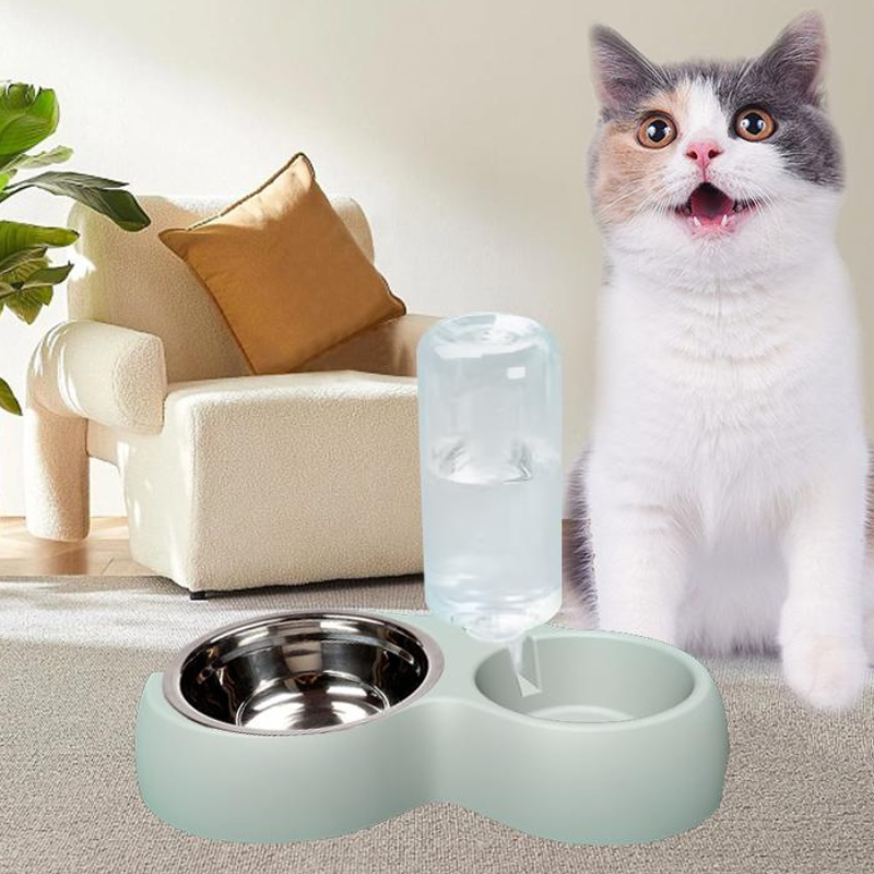 Pet Feeding And Hydration Bowl Set