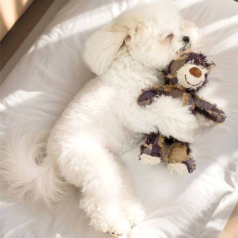 Pet Beggar Bear Sound Dog Toys