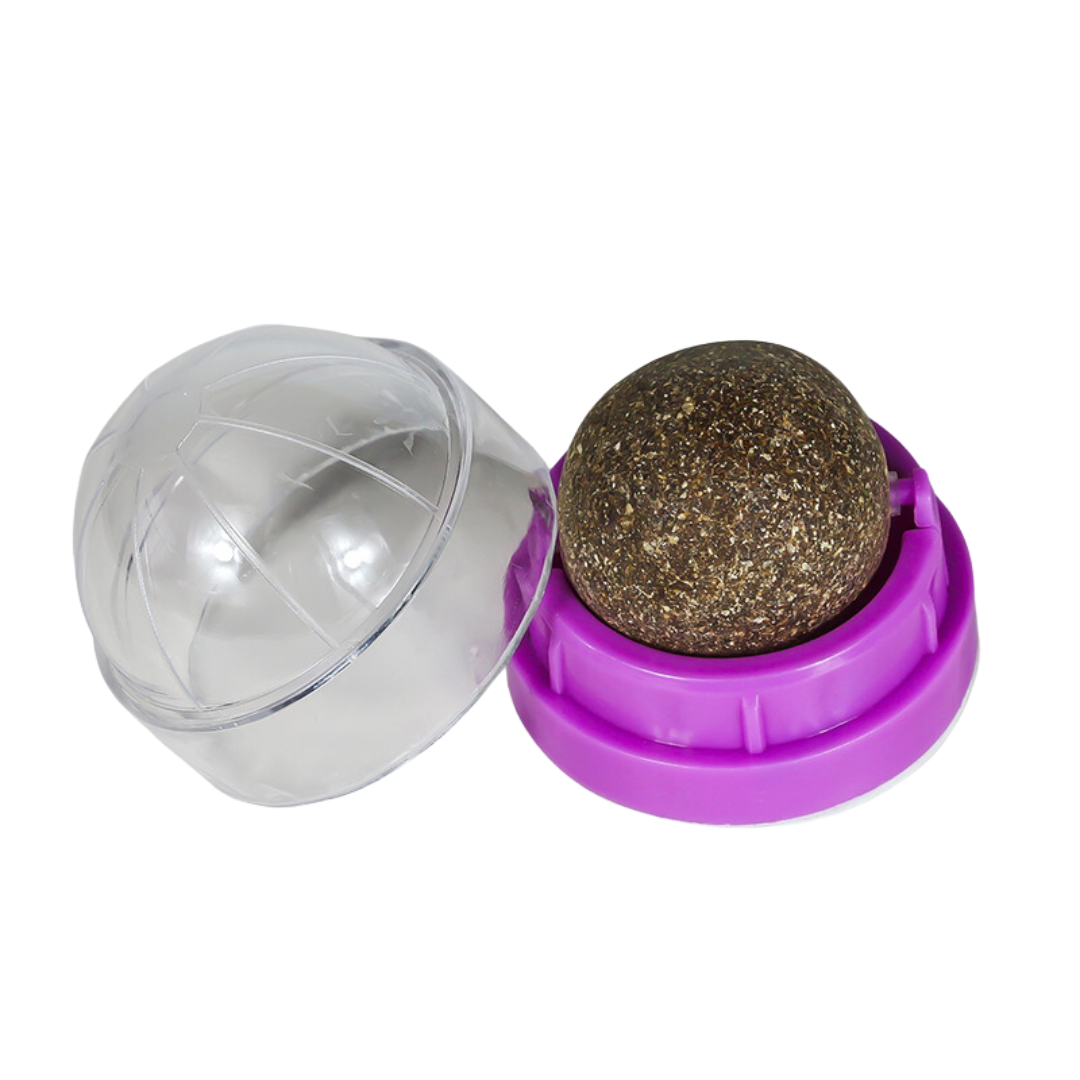 Round Spinning Catnip Treats Ball Toys