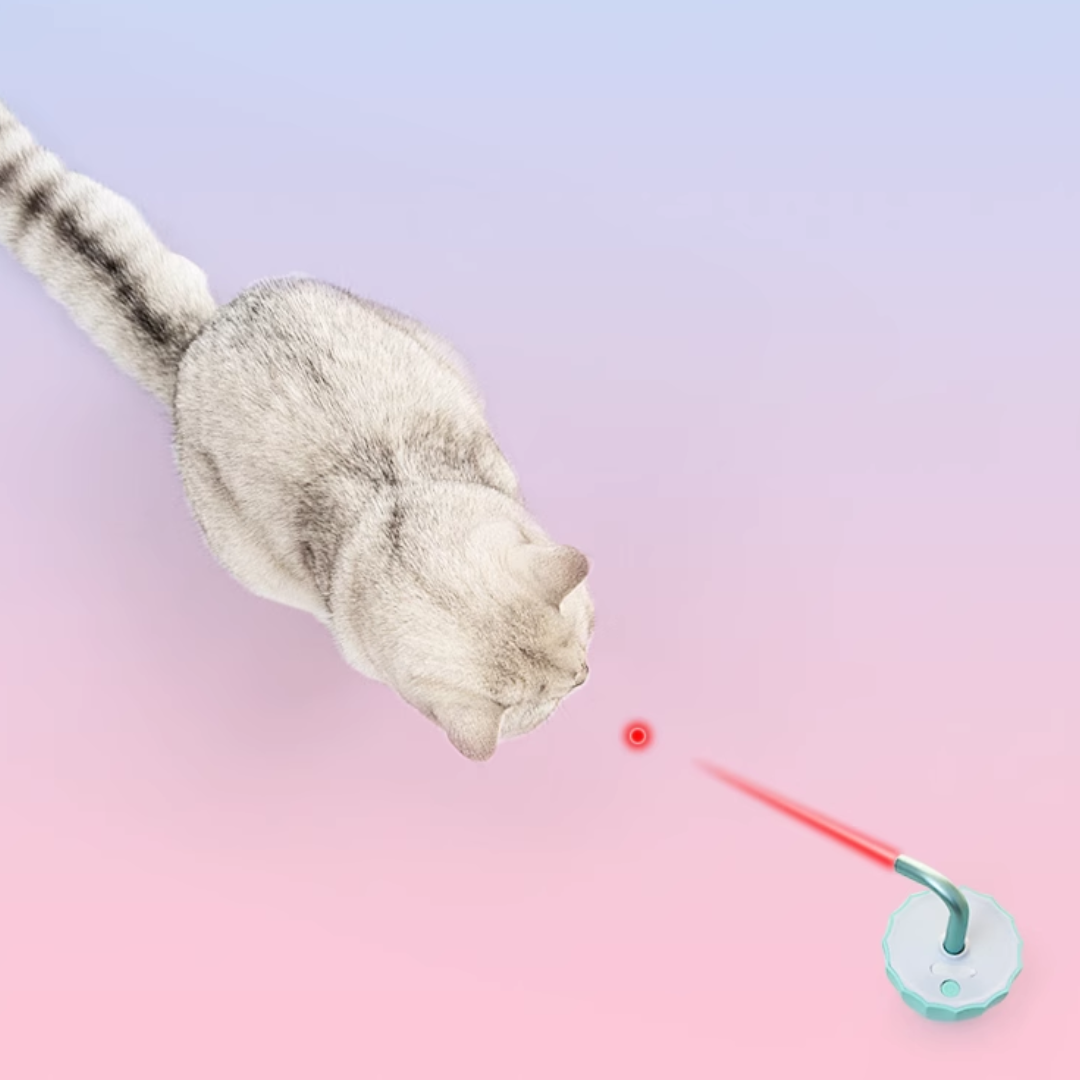 Interaktives Tumbler-Laserlichtspielzeug