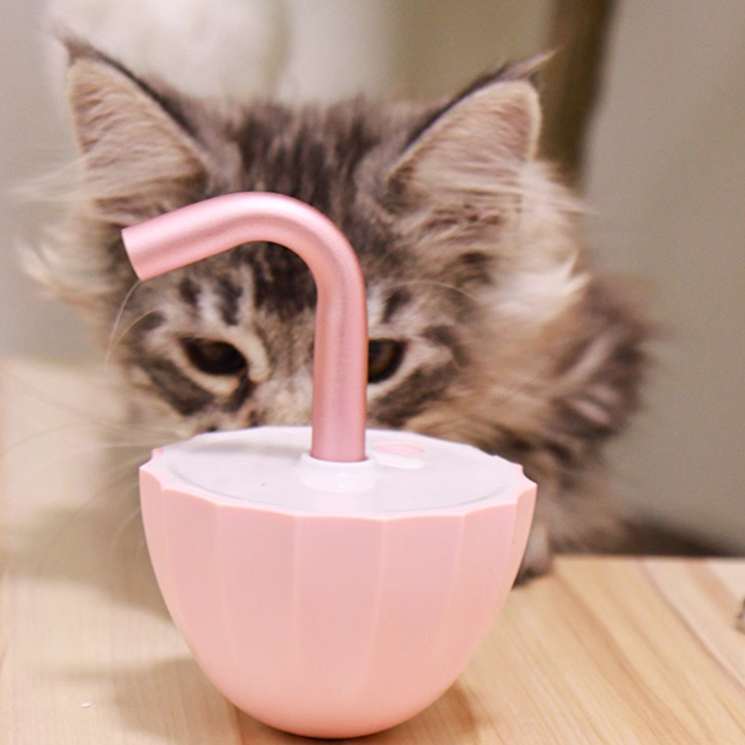 Interaktives Tumbler-Laserlichtspielzeug