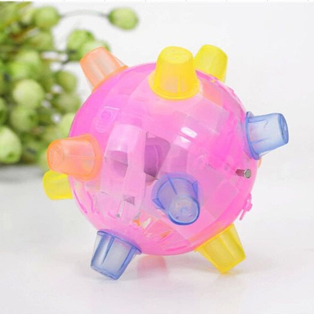 Jumping Activation Ball for Dogs