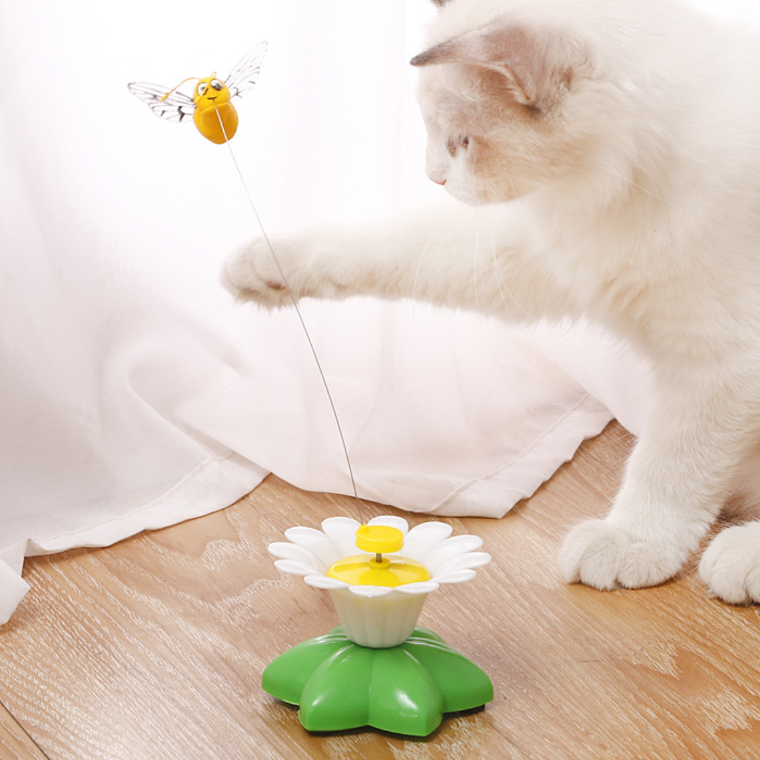 Wholesale cat toys supplier bulk buy