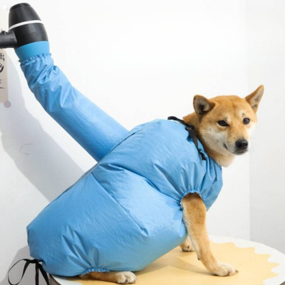 Pet Cat Dog Drying Coat Pet Quick Drying Bag Portable Pet Dryer