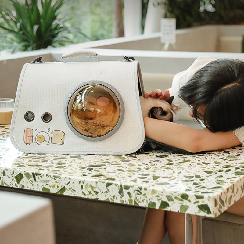 Portable Cat Bag Travel Carrier