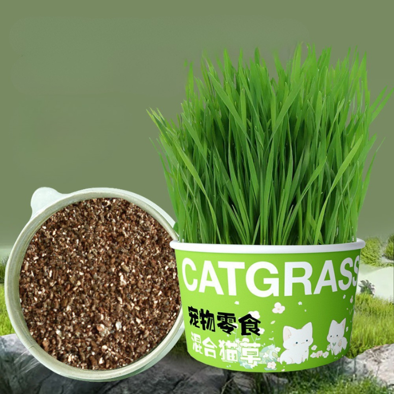 Pet Cat Grass Pet Snacks