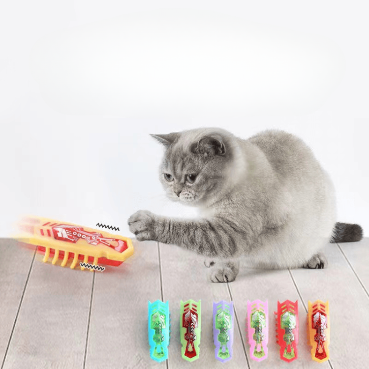 Electric Insects Automatic Cat Toys – Glampawstore