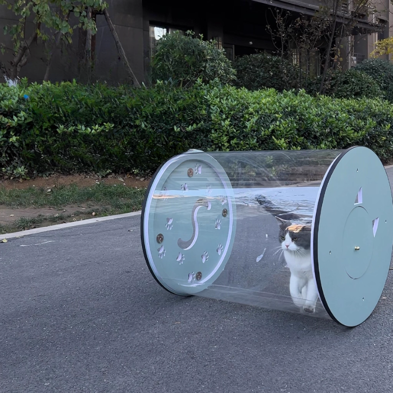 Transparent Rolling Pet Carrier
