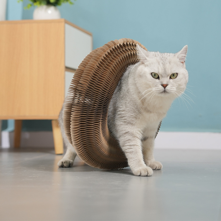 Cat Scratching Board Cat Toy with Bell