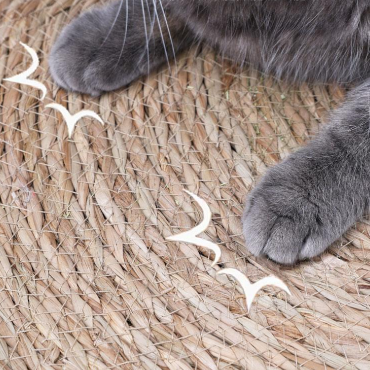 Reed Woven Cat Scratching Mat