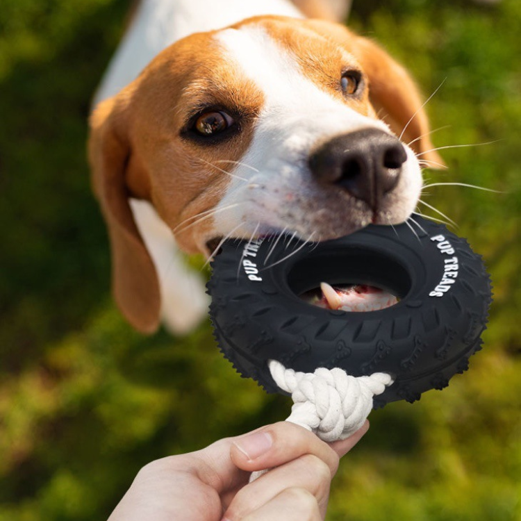 Dogs Chew Tug Of War Toys Tire Rope