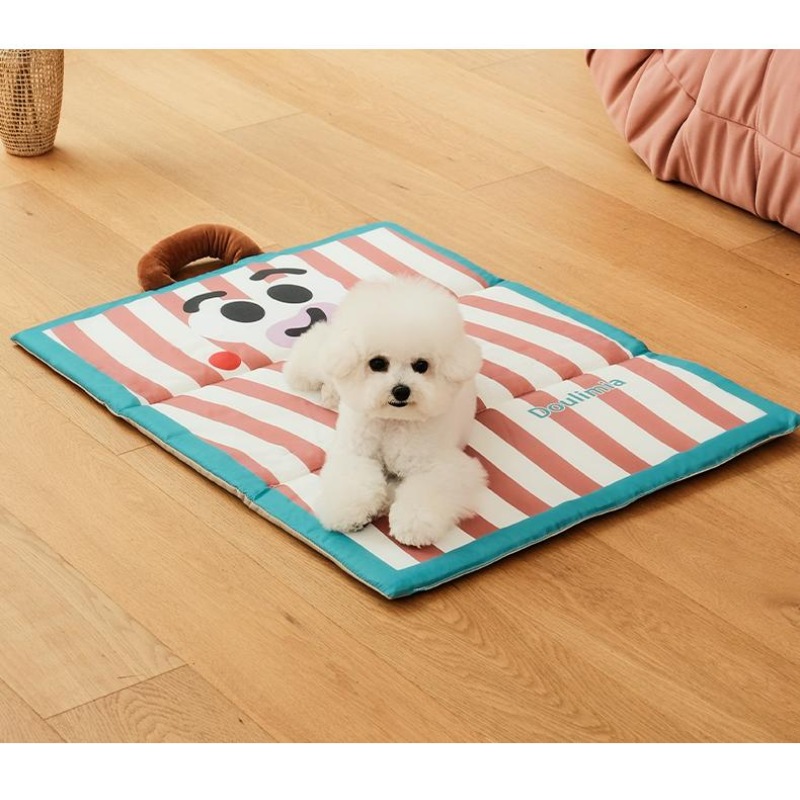Pet Cooling Mat Summer Sleeping Waterproof Mat