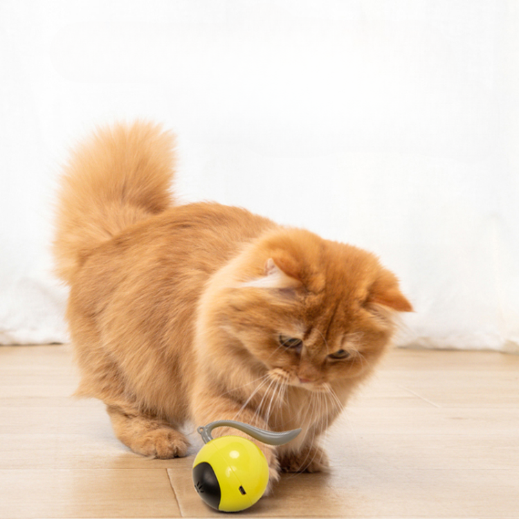 Smart Magic Ball Electric Cat Toys