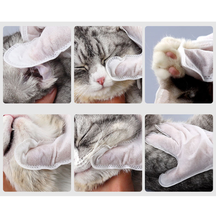Pet Disposable Glove Wipes