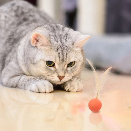 Interactive Elastic Jumping Ball With Feather