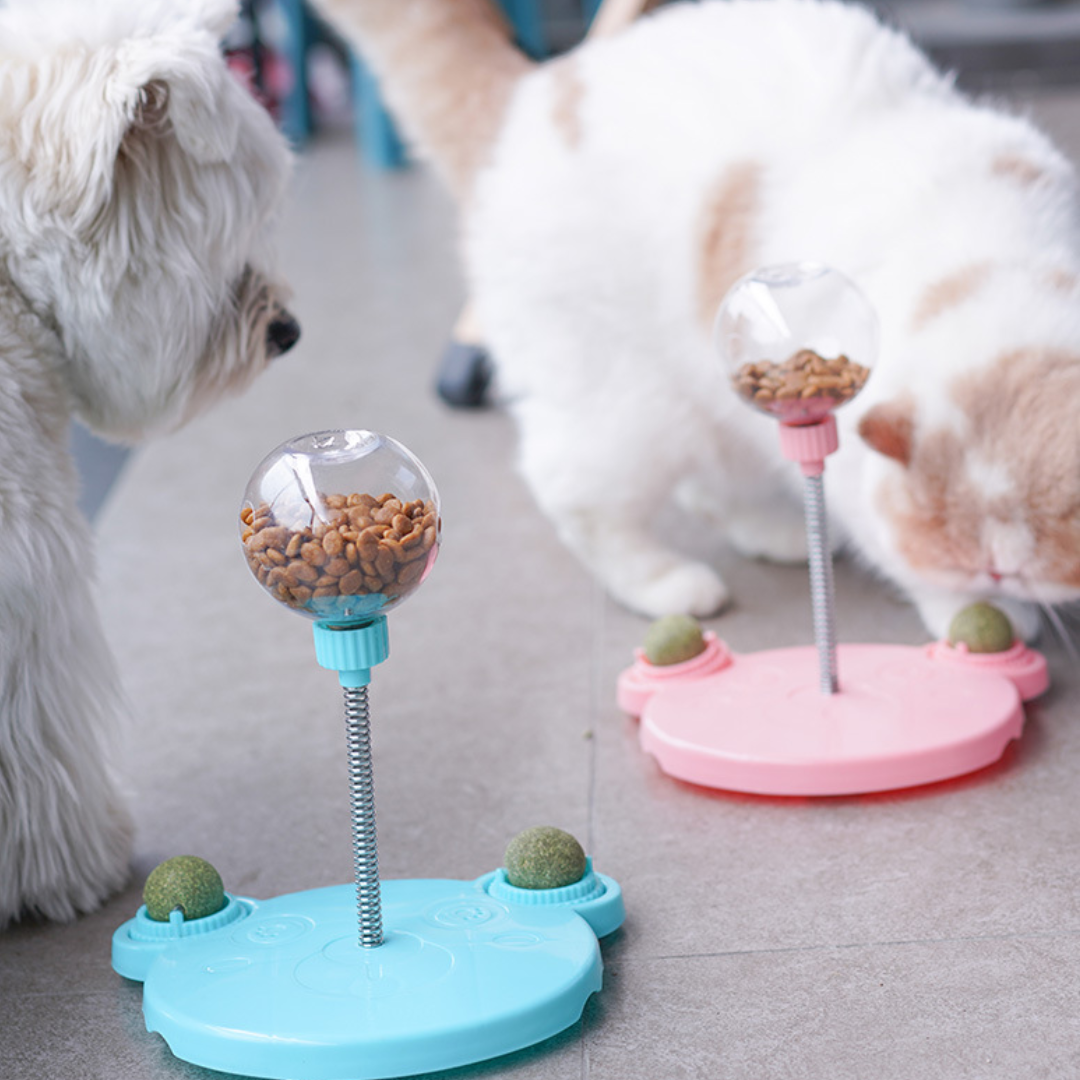Cat Treats Leaking Dispenser Toys Catnip – Glampawstore