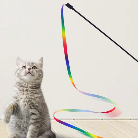 Rainbow Ribbon Cat Teaser Toy