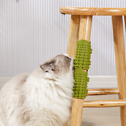 Silicone Cat Self Grooming Brush Removes Loose Hair & Massages Cats
