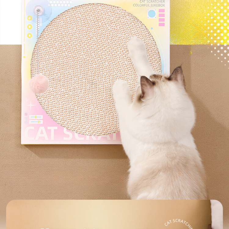 Record Player Cat Scratching Board