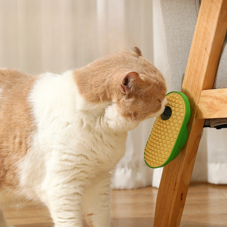 Avacado Catnip Catnip Grooming Brush