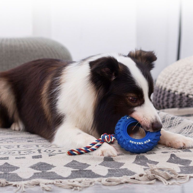 Dogs Chew Tug Of War Toys Tire Rope