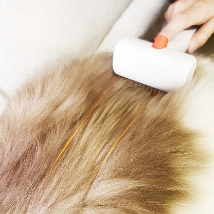 Pet Cats Detangling Hair Remover Comb Brush