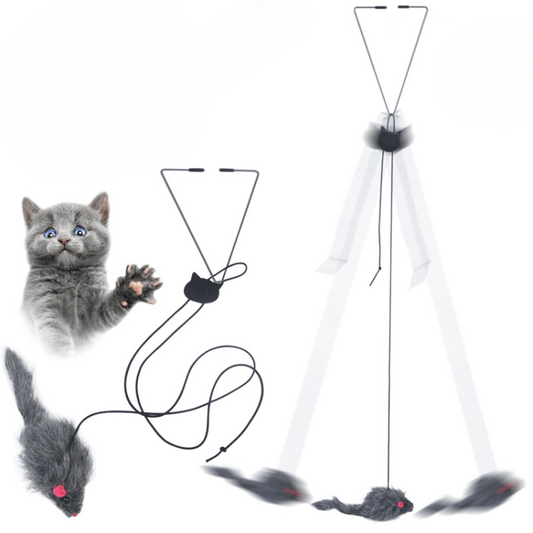 Cat Mouse Toy Hanging Door