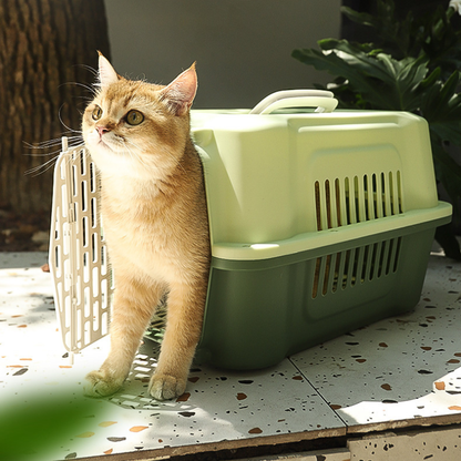 Portable Airline-Friendly Cat Carriers Crates for Small Dogs Durable Plastic