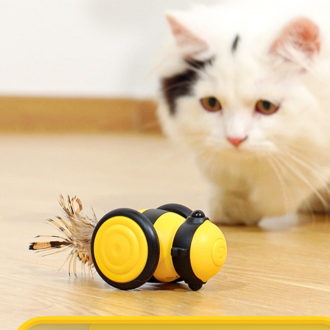 Bees Cat Rolling Car Toys