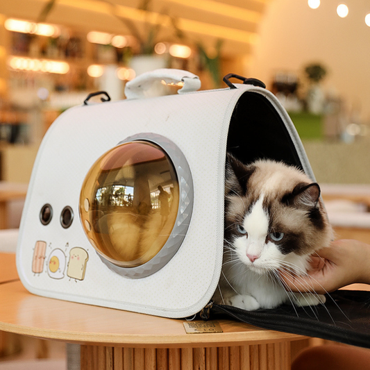 Portable Cat Bag Travel Carrier