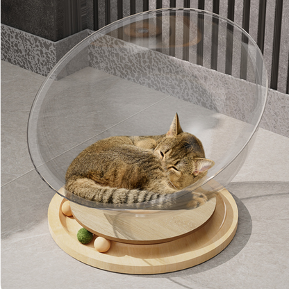 Space Capsule Acrylic Cat Bed