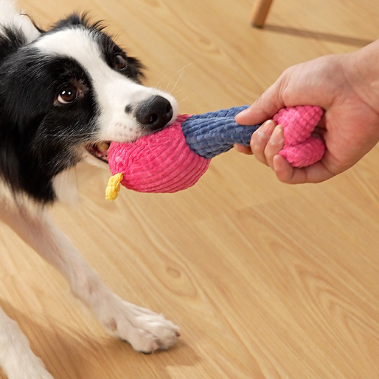 Pet Cute Squeaker Plush Toys