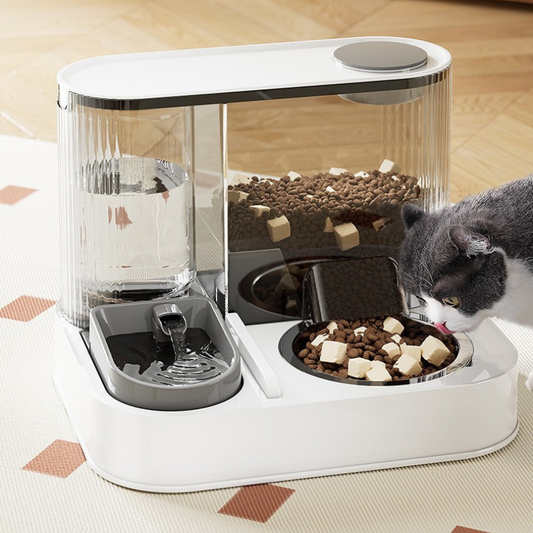Cat Dog Water Dispenser Food Treat Bowl