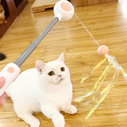 Cat Teaser Wand Toys With Laser Lights