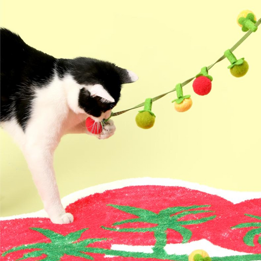 Catnip Toy String Tomatoes Cat Teaser with Bell Cat Toy