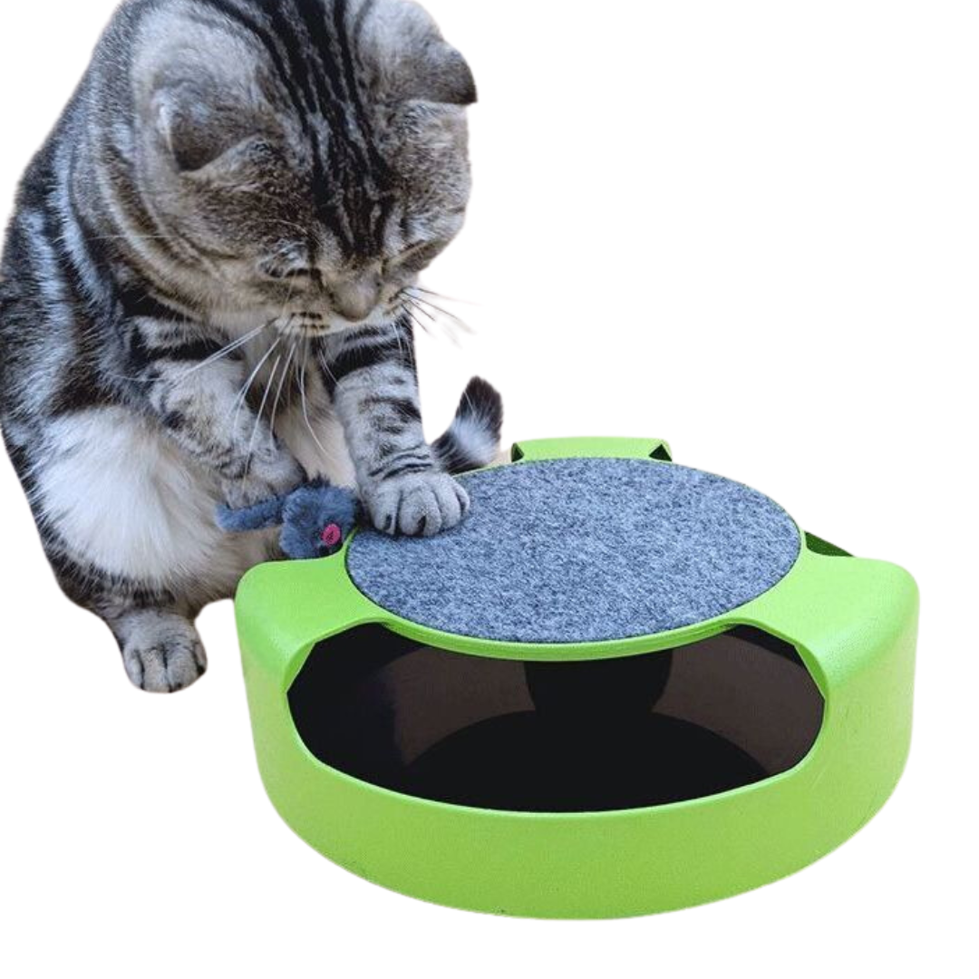 Interactive Cat Toy Mouse Chasing for Indoor Cats