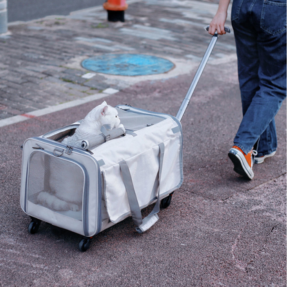 Cat Stroller Carrier Suitcase Dog Travel Bag