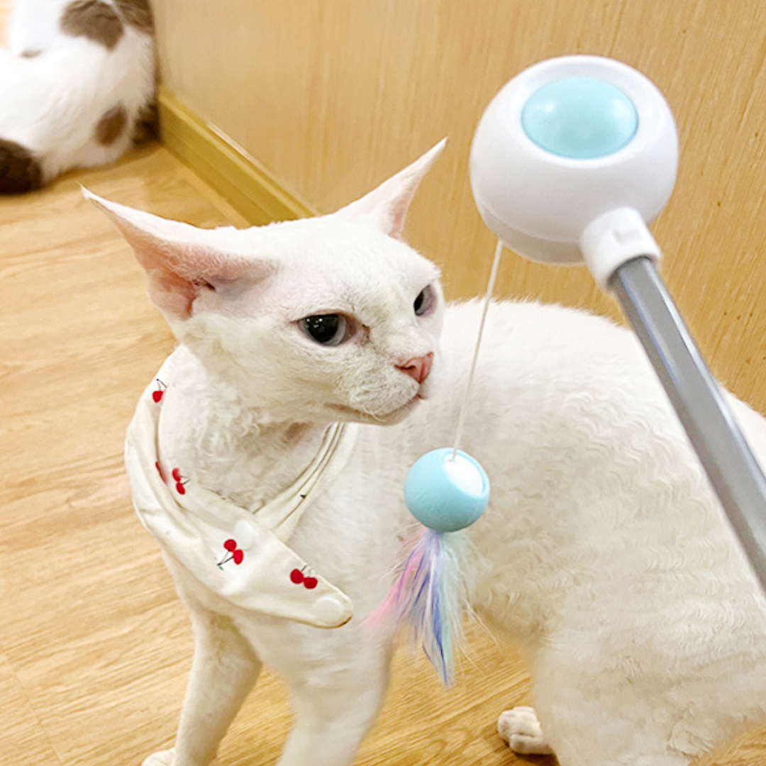 Cat Teaser Wand Toys With Laser Lights