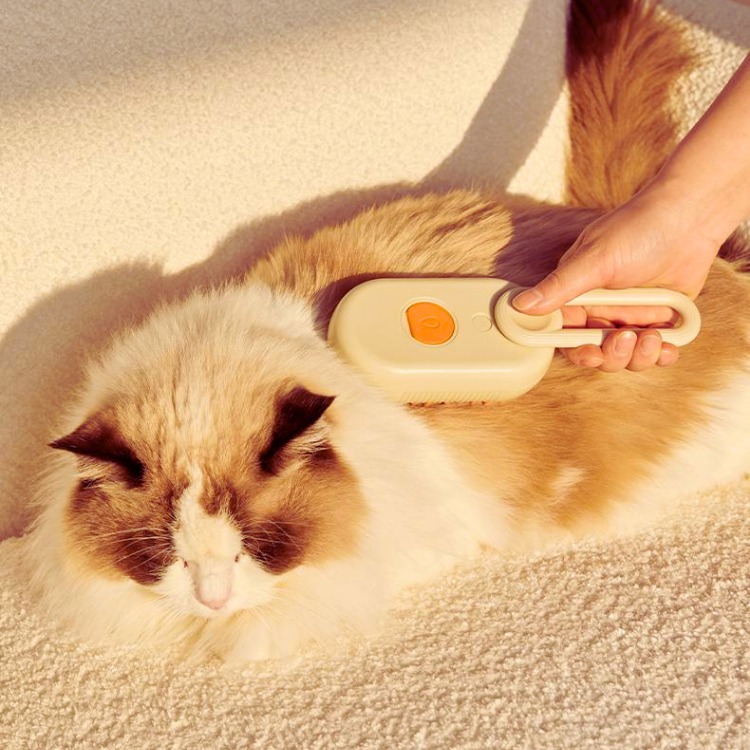 Pet Cats Spray Massage Comb Grooming Brush